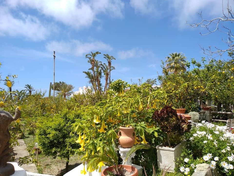 Residence Limoneto Ischia Forio di Ischia Exterior foto